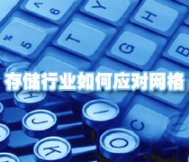DoSTOR存儲分析 專欄文章:存儲行業(yè)如何應對網(wǎng)格-DOIT-數(shù)據(jù)產(chǎn)業(yè)媒體與服務平臺